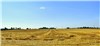 Harvest in Humbleton