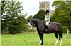 Horse riding in Humbleton